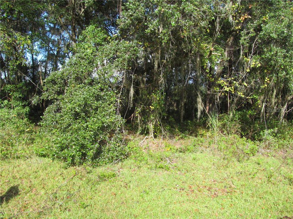00 Guava Terrace - Photo 1