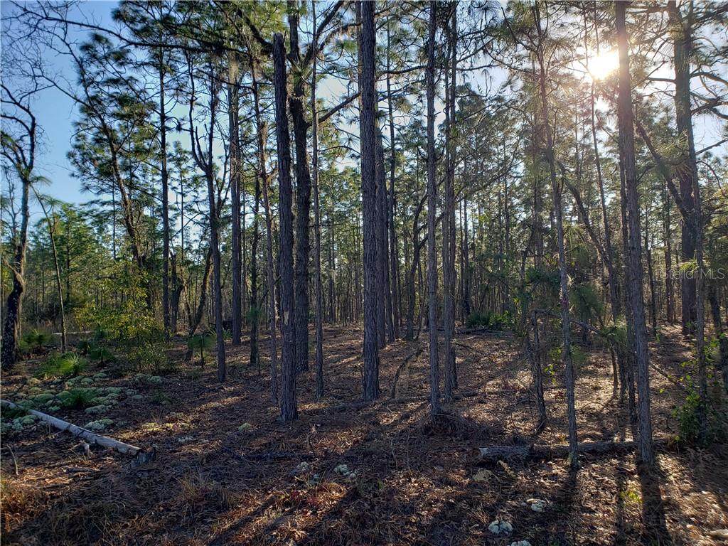 Lot 5 Locust Lane Course - Photo 1