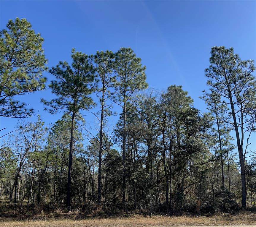 Lot 8 135TH Court - Photo 1