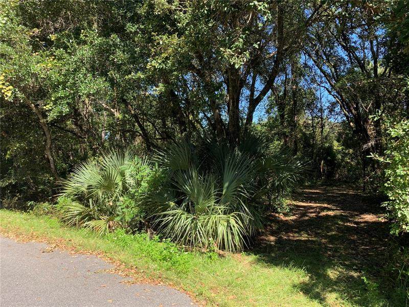 Lot 12 Oak Lane Way - Photo 1