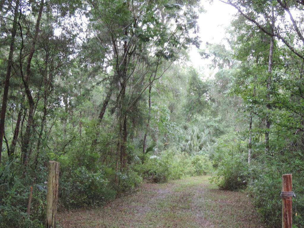 0 Highway 328 - Photo 1