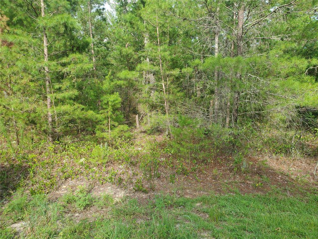 TBD Fisher Run Terrace - Photo 1