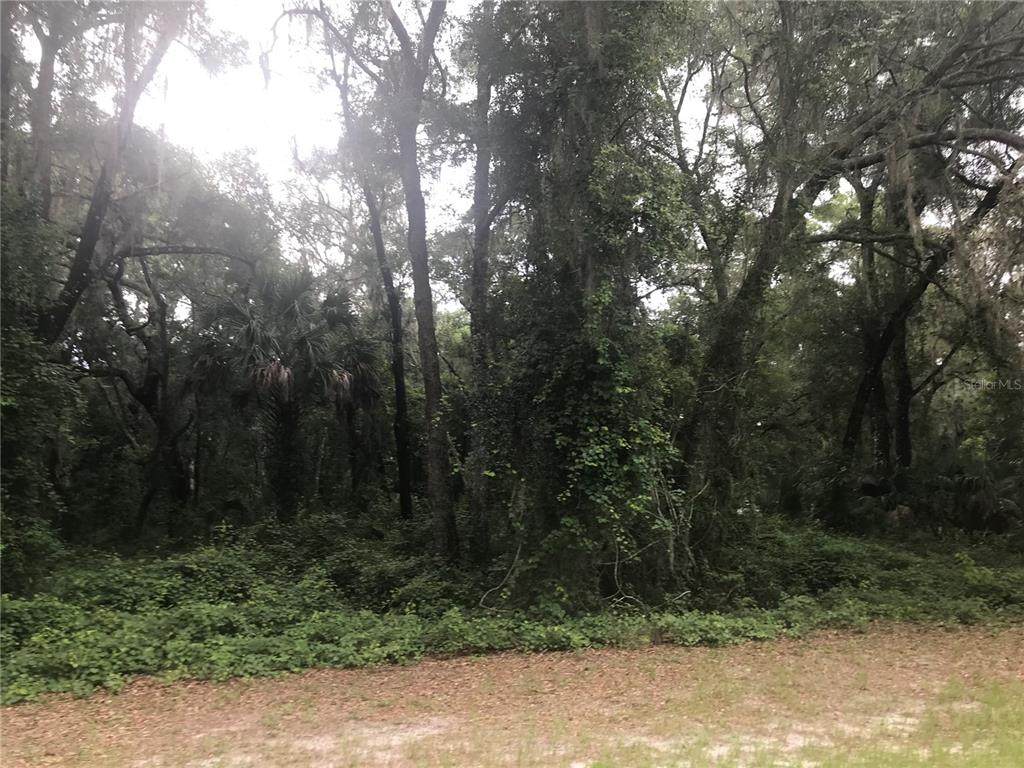 14278 53RD COURT Road - Photo 1
