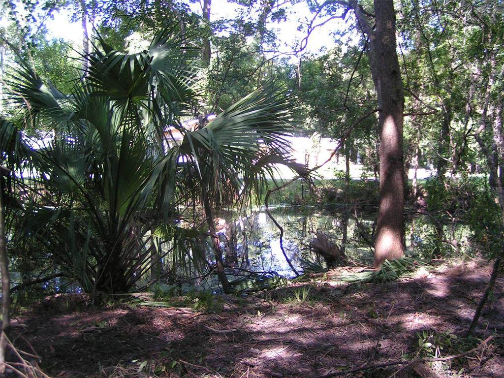 12910 Isle Point - Photo 1