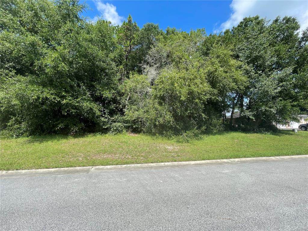 TBD 6TH Court - Photo 1