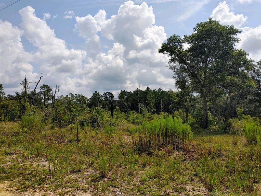 00 108TH Terrace - Photo 1
