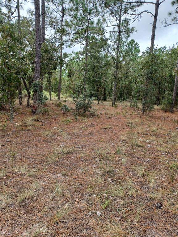 000 Sw Timberlake Road Lot 37 - Photo 1