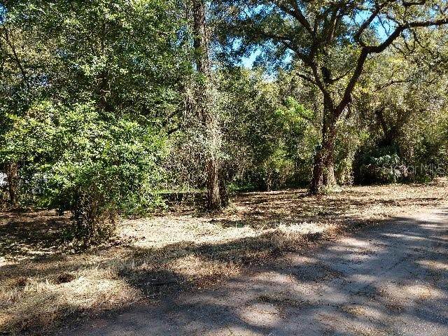 10585 130TH Lane - Photo 1