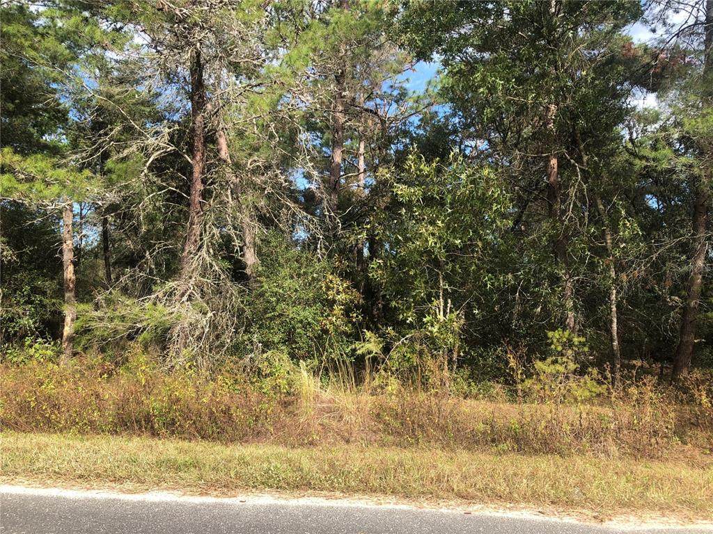 Lot 20 106TH Street - Photo 1