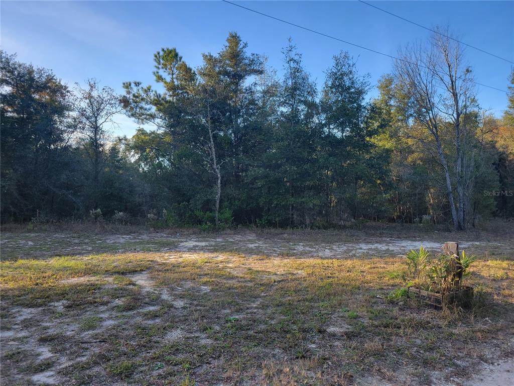 5310 134TH Avenue - Photo 1