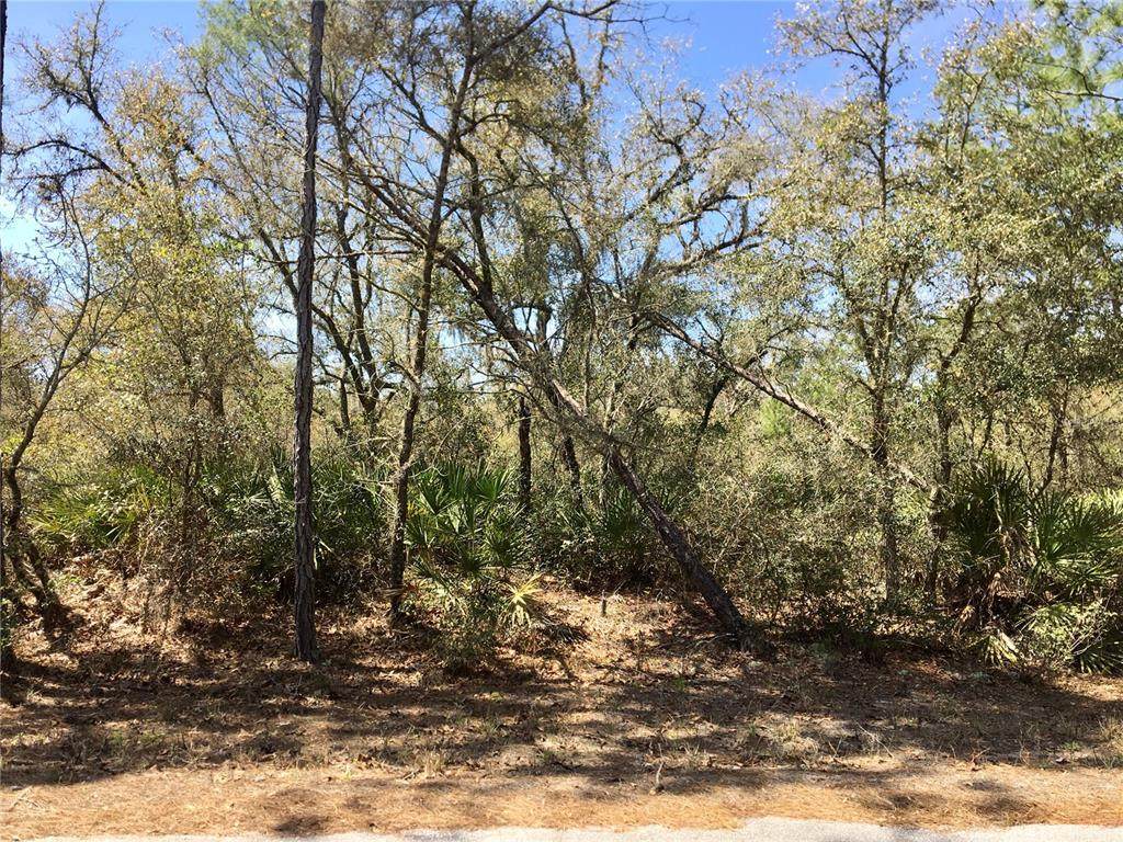 TBD Fisher Way Track - Photo 1
