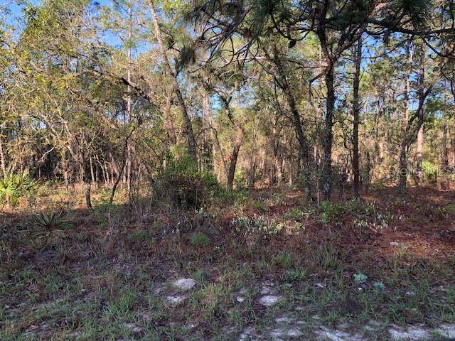 2358 Elmore Loop - Photo 1