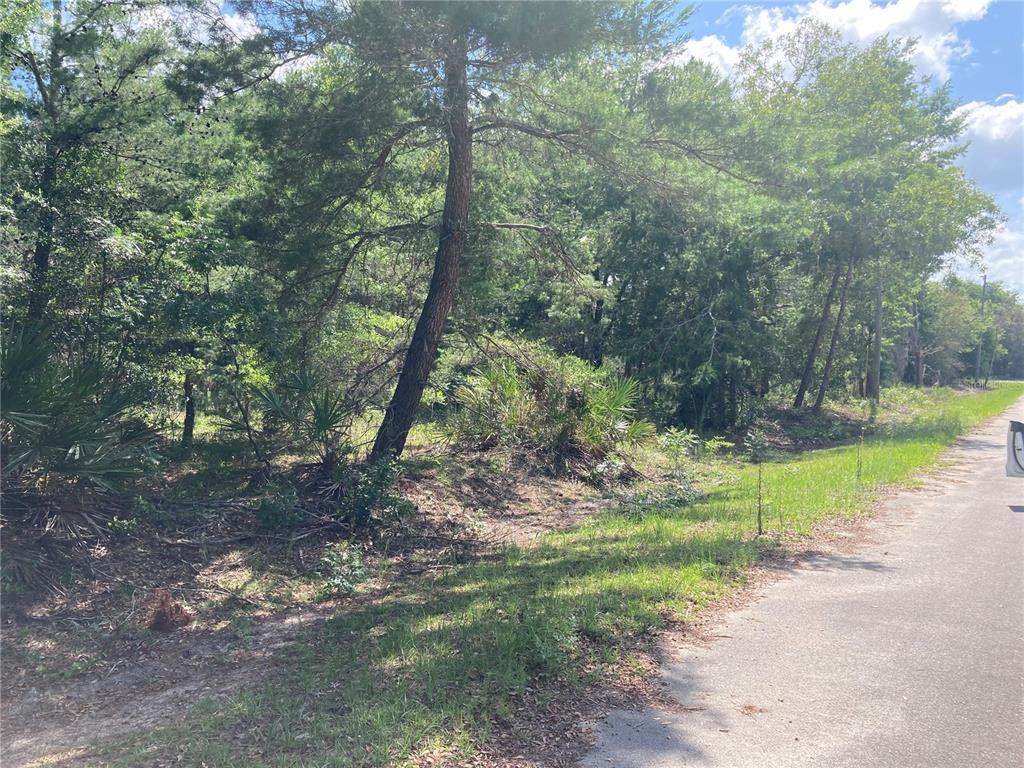 TBD Malauka Trail - Photo 1