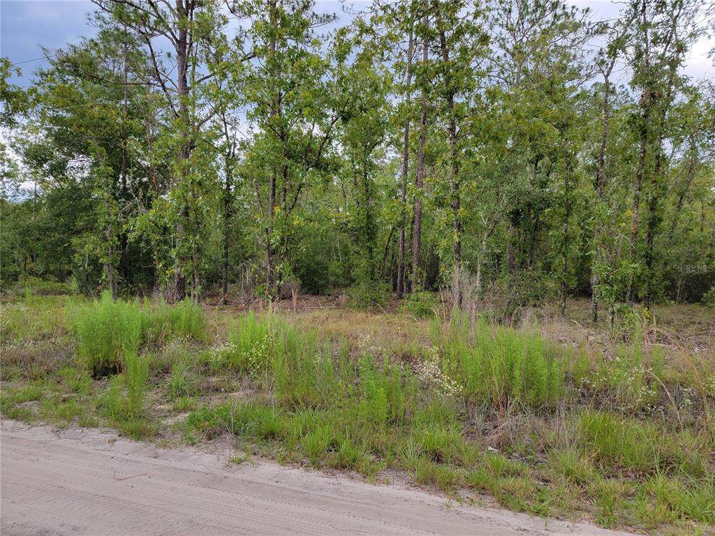 Lot 2 139TH Avenue - Photo 1