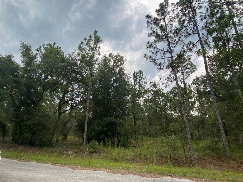 0 Banyan Lane - Photo 1
