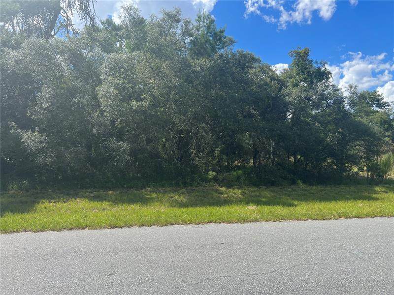 00 172ND LANE Road - Photo 1