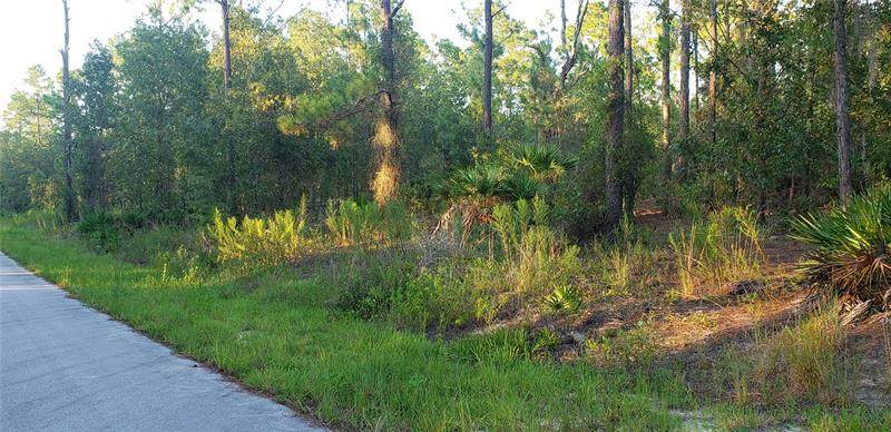 Lot 33 South View Court - Photo 1