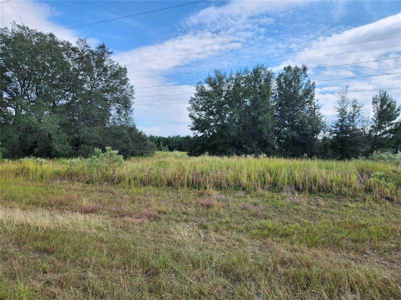 00 113TH ST. RD. - Photo 1