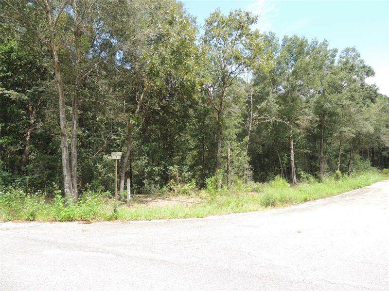 421 Country Club Drive - Photo 1