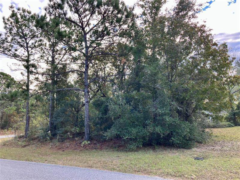 3038 Doronicum Place - Photo 1