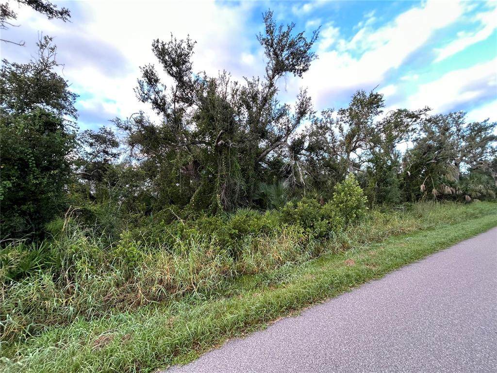 29431 Nottingham Road - Photo 1