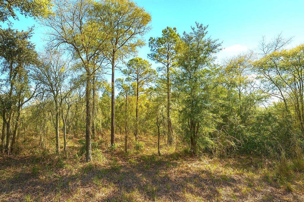 00 122ND Avenue - Photo 1