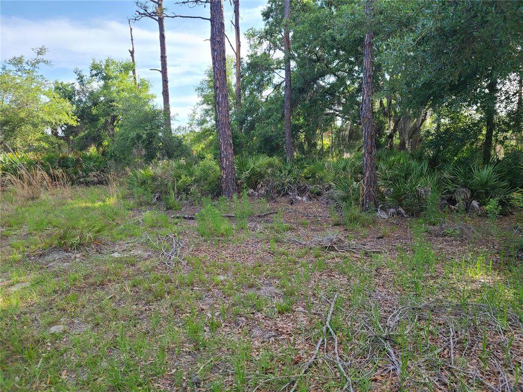 8436 Erin Drive - Photo 1
