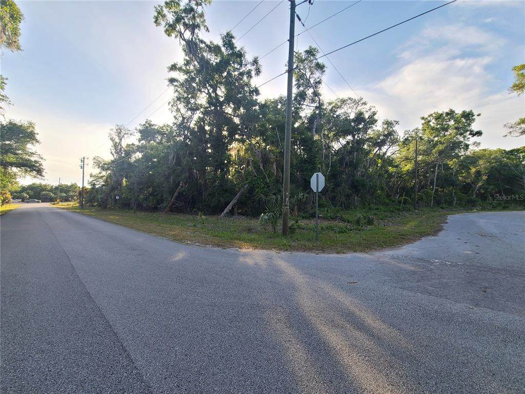 9840 Snowball Point - Photo 1