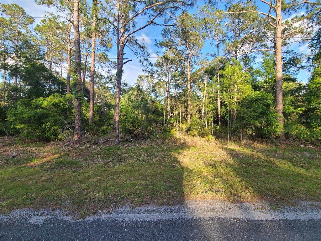9263 Bonsai Avenue - Photo 1