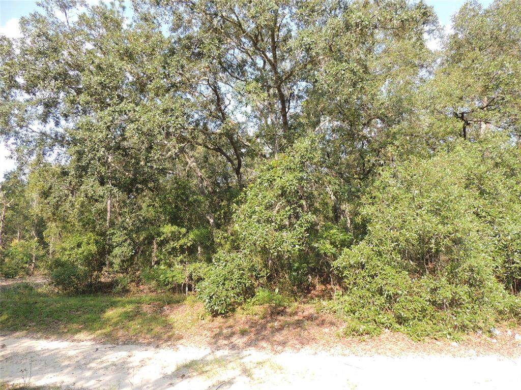 7550 95TH Avenue - Photo 1