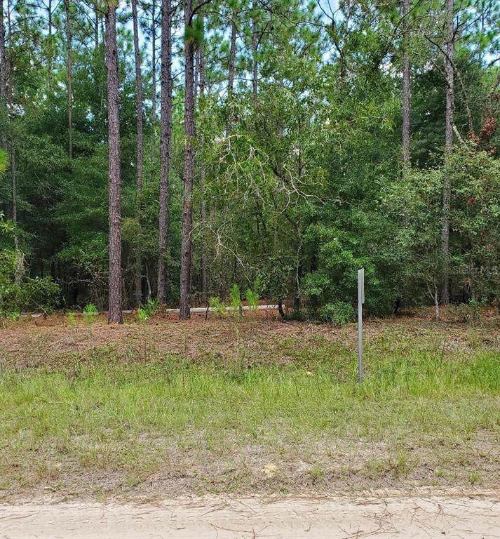 Land 136TH AVE RD - Photo 1