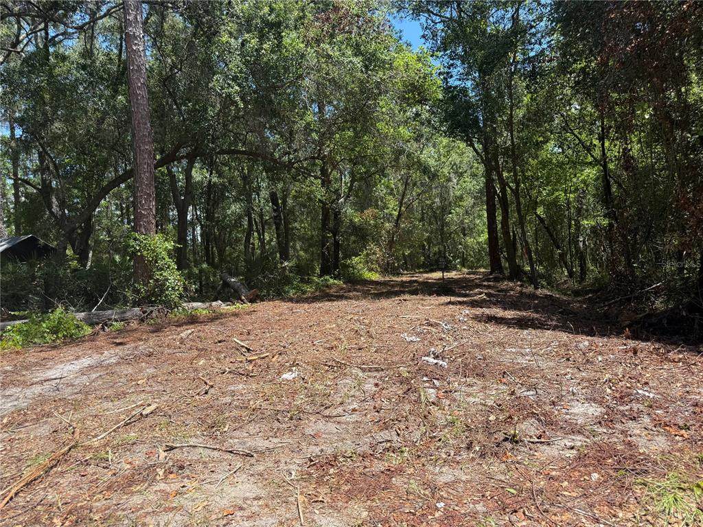 TBD 115 Avenue - Photo 1