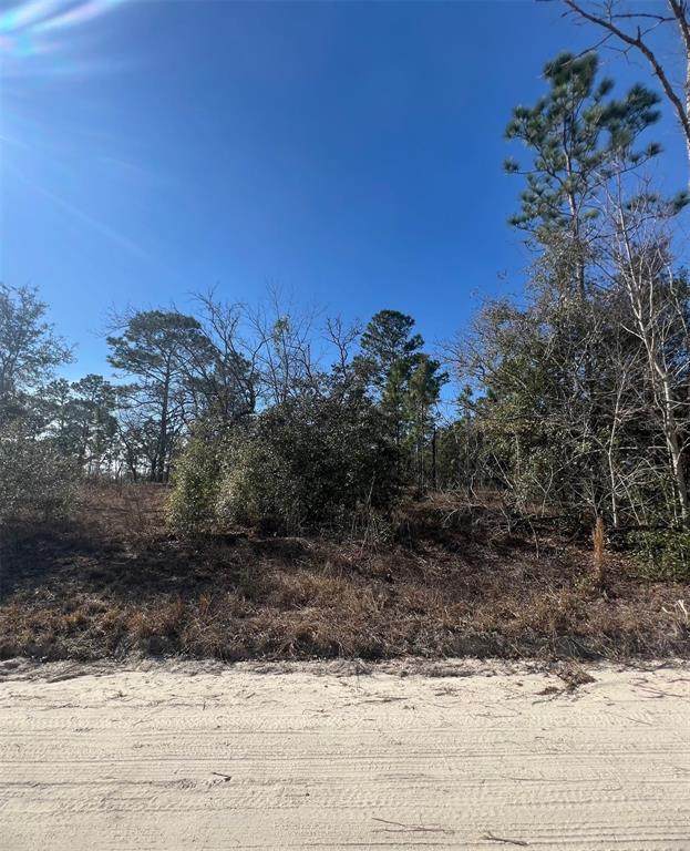 TBD 186 Terrace - Photo 1