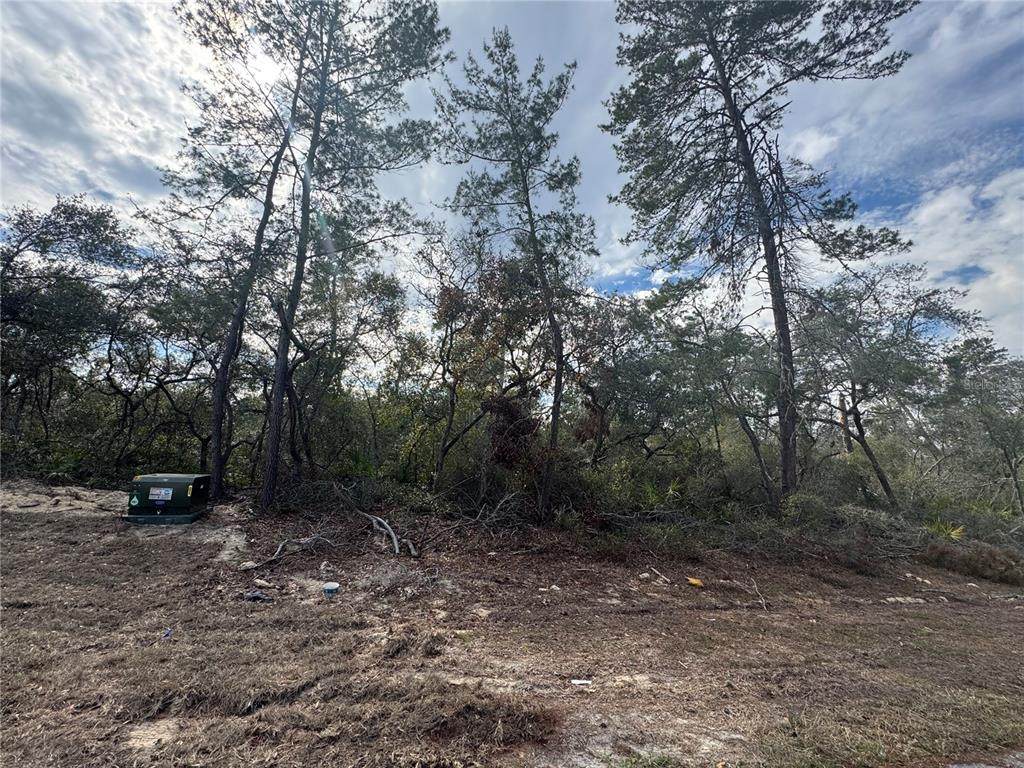 0 25TH Court - Photo 1