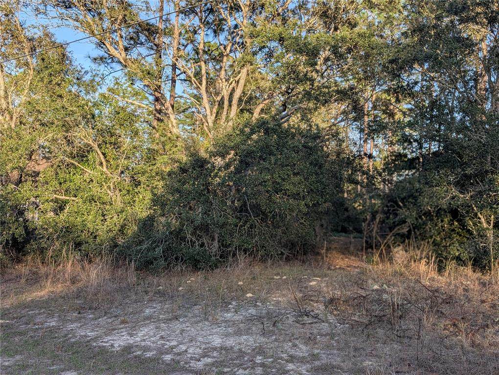 8949 Lansen Way - Photo 1