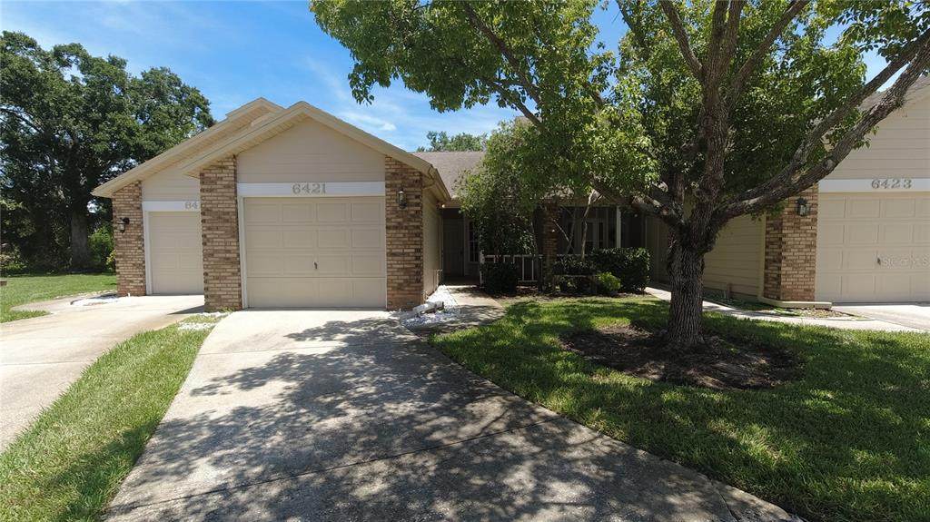 6421 Remus Drive - Photo 1