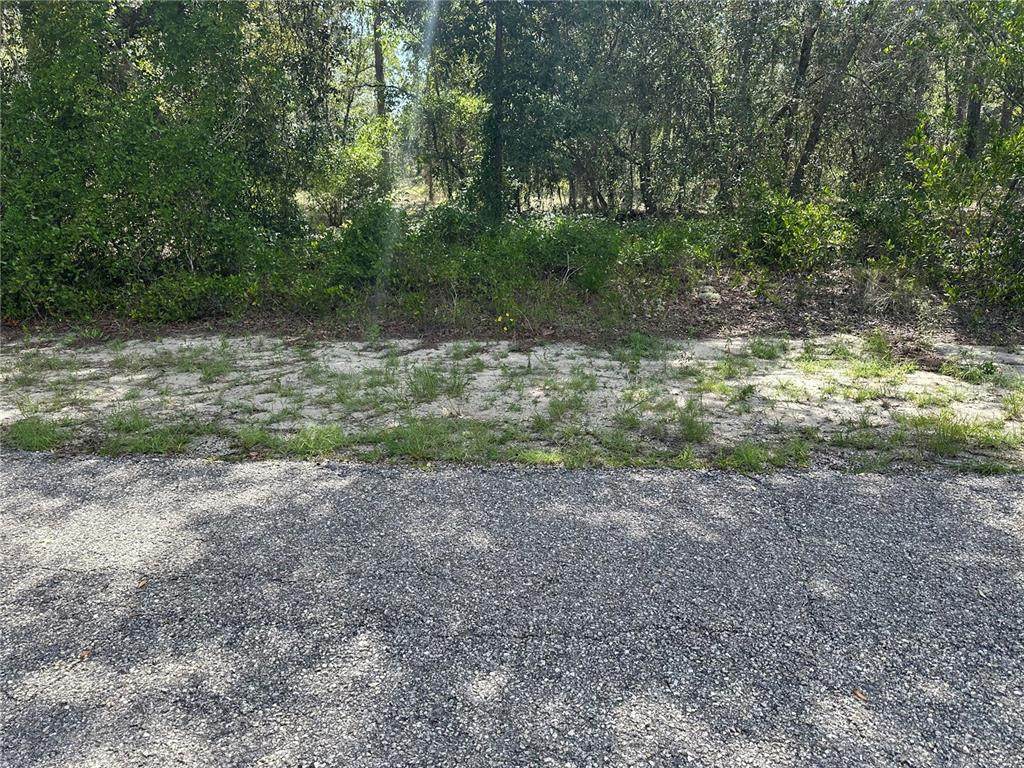 Se 133Rd Ave - Photo 1