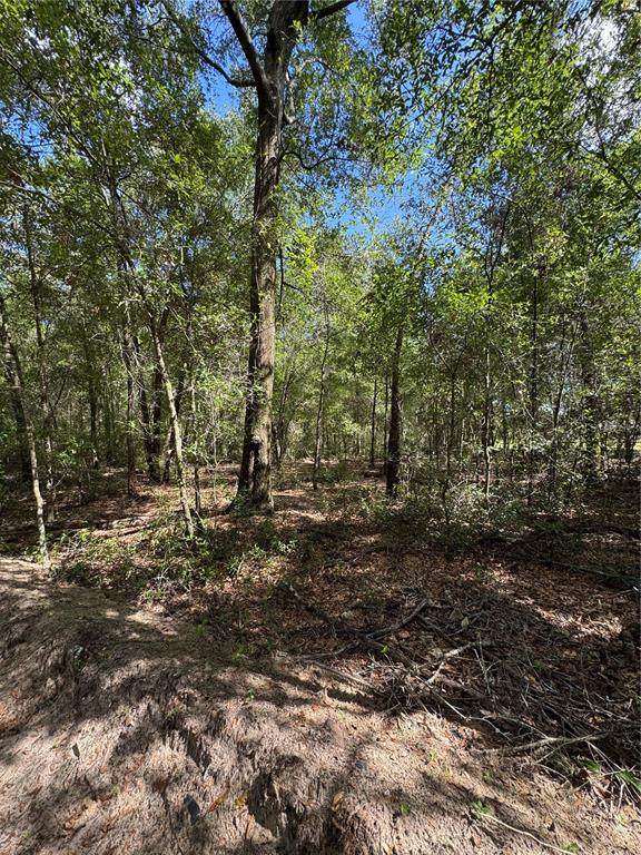 0 14 Street - Photo 1