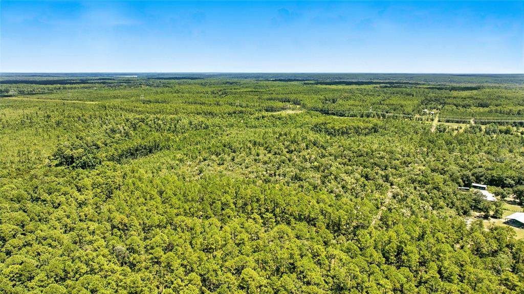 TBD 125TH AVE - Photo 1