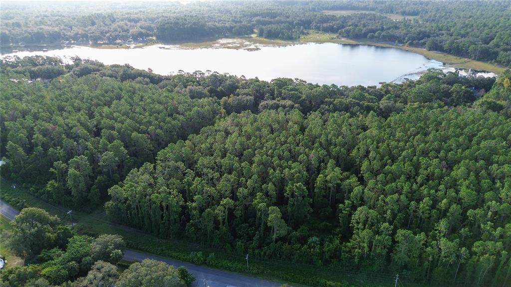 TBD 170TH Avenue - Photo 1