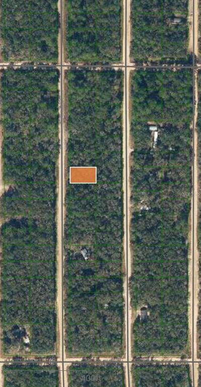 LOT 7 Neilsen Avenue - Photo 1