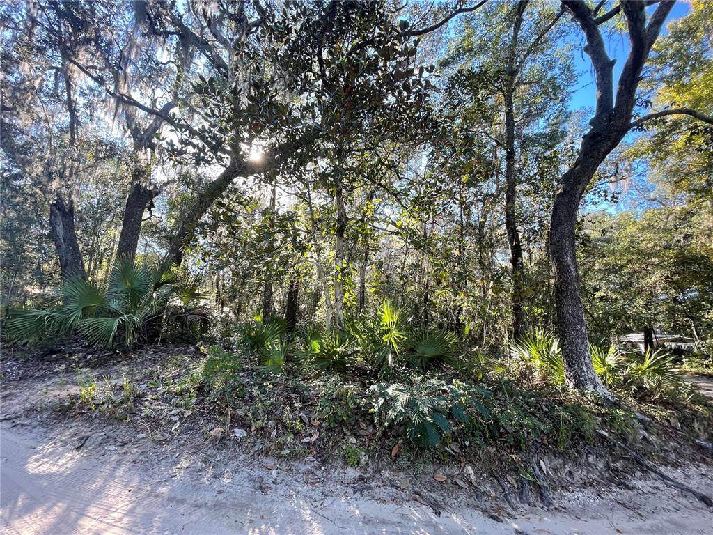 TBD 199TH PLACE - Photo 1