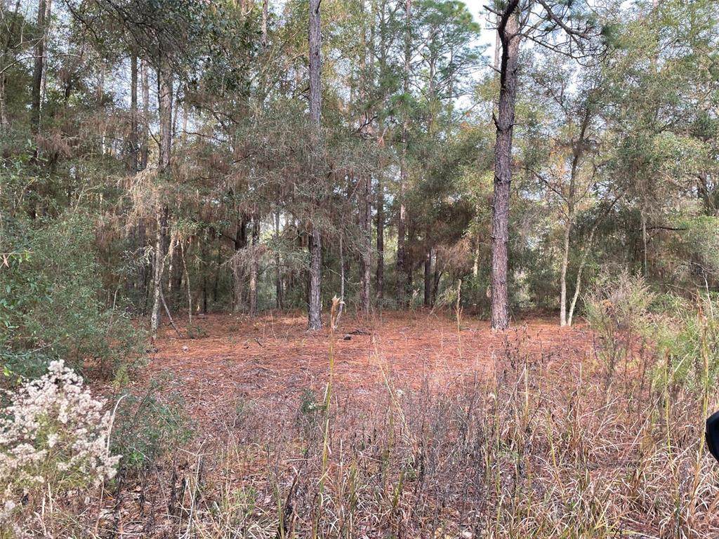 LOT 9 152ND Avenue - Photo 1