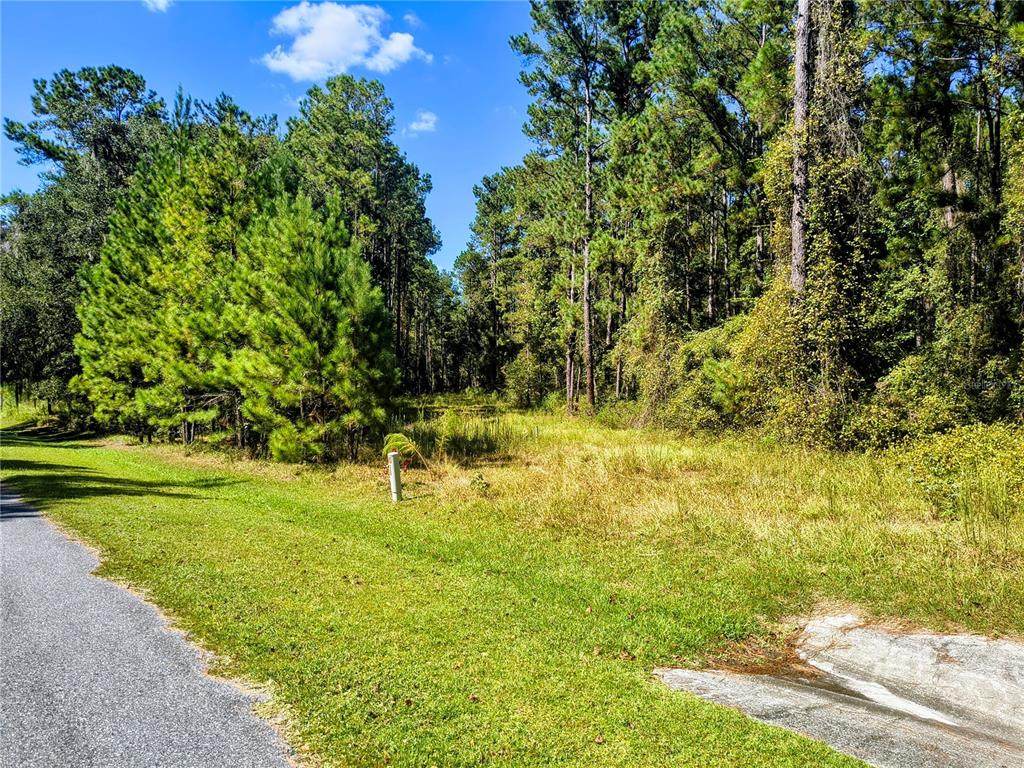  148TH Lane - Photo 1