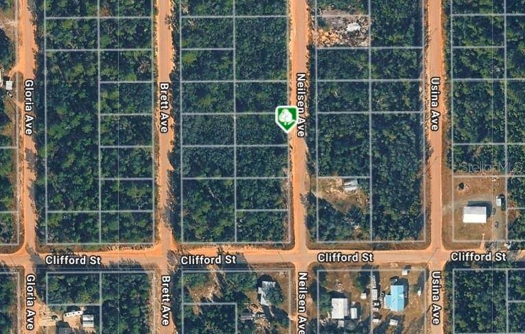 LOT 22 Neilsen Avenue - Photo 1