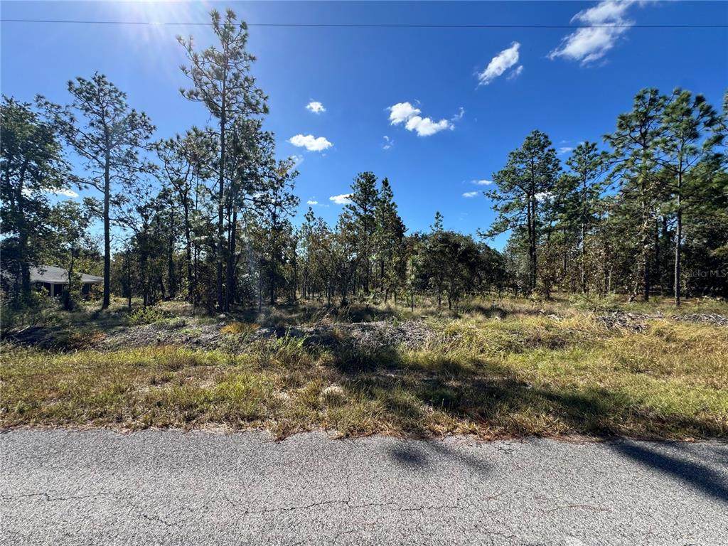 TBD Luna Avenue - Photo 1