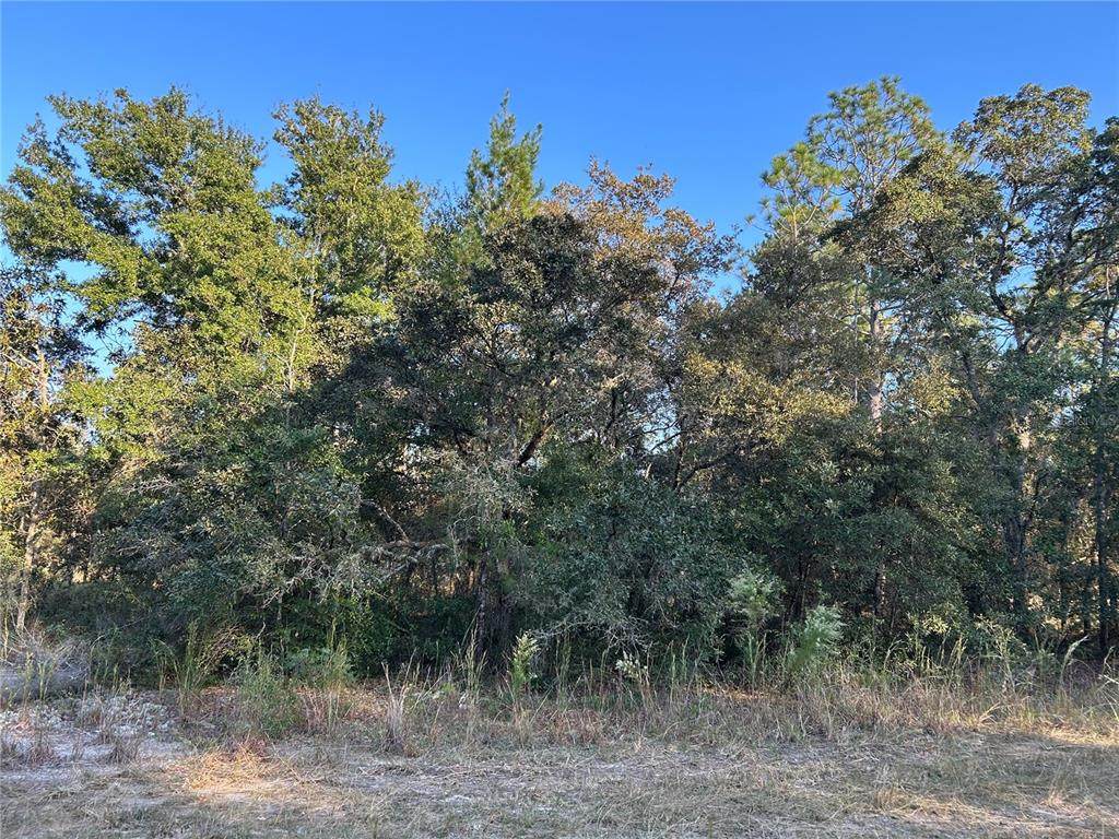 TBD 148 Terrace - Photo 1