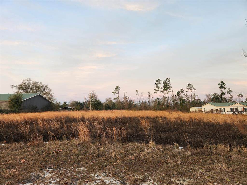 7901 Highway 2301 - Photo 1