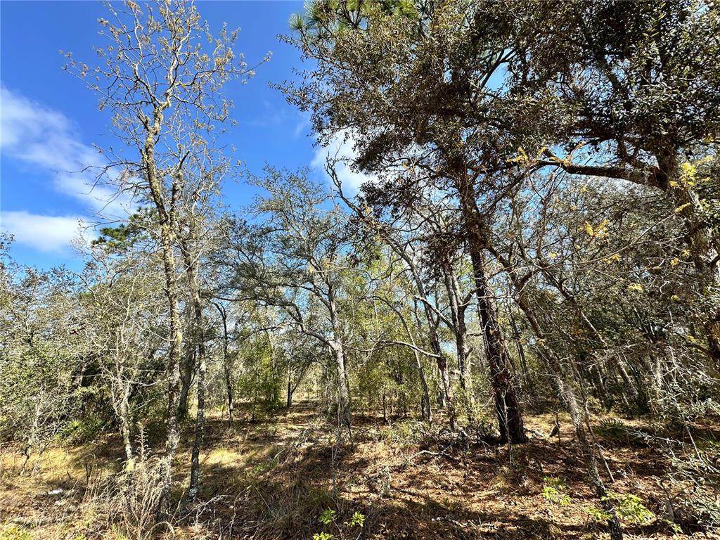 TBD 68TH Place - Photo 1