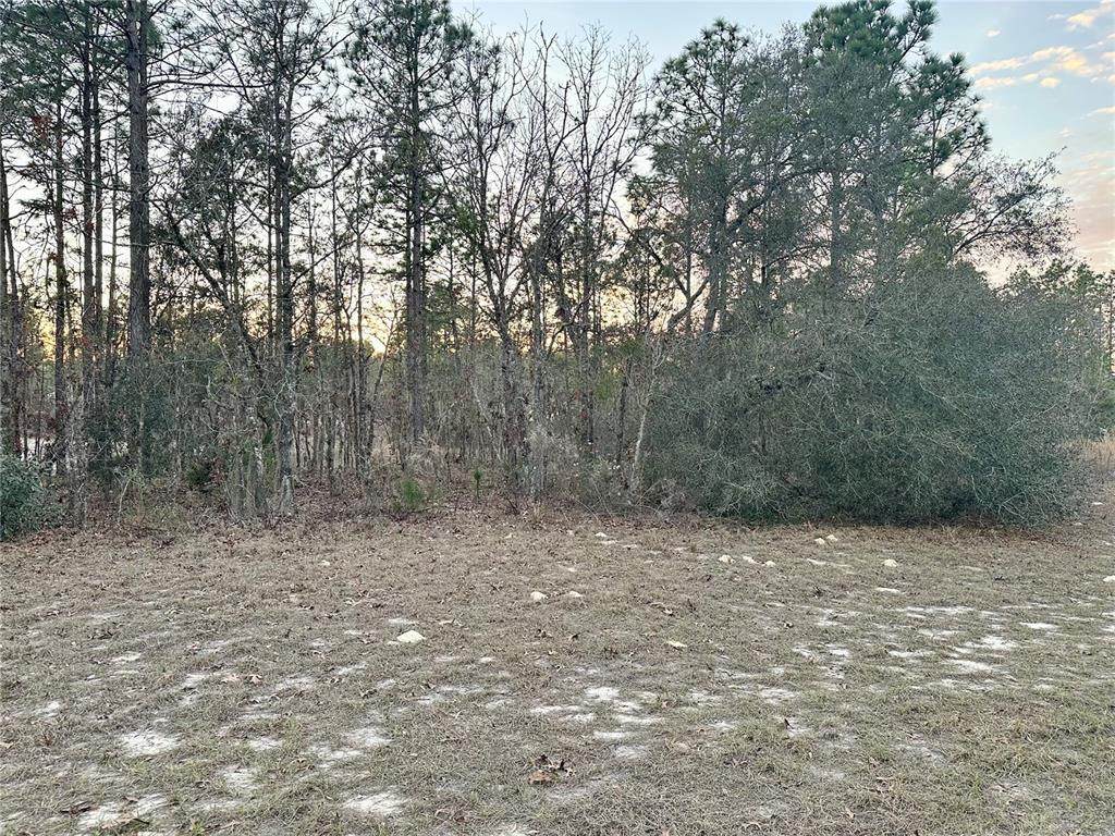 0 Sw 129Th Pl - Photo 1